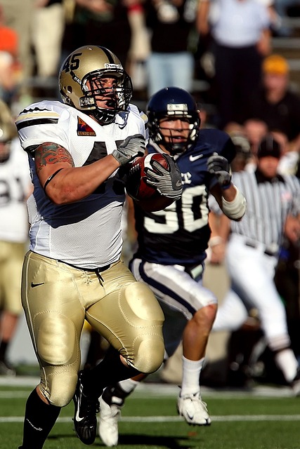 心盧尼一句 心盧尼一句