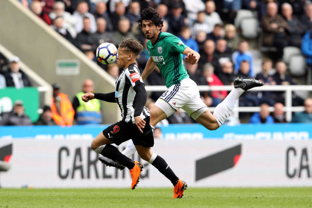 这种表现已 这种表现已